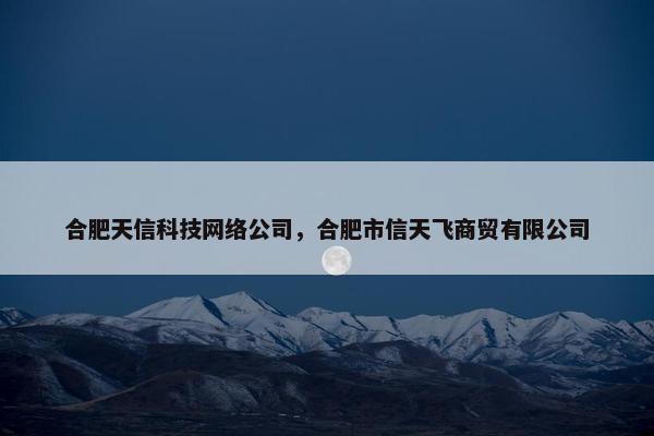 合肥天信科技网络公司，合肥市信天飞商贸有限公司