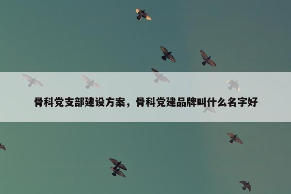 骨科党支部建设方案，骨科党建品牌叫什么名字好