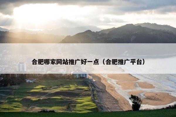 合肥哪家网站推广好一点（合肥推广平台）