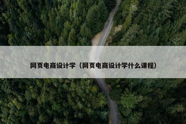 网页电商设计学（网页电商设计学什么课程）