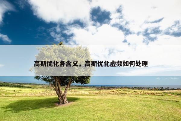 高斯优化各含义，高斯优化虚频如何处理