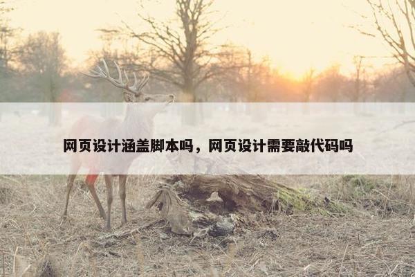 网页设计涵盖脚本吗，网页设计需要敲代码吗