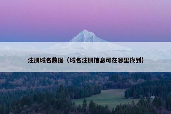 注册域名数据（域名注册信息可在哪里找到）