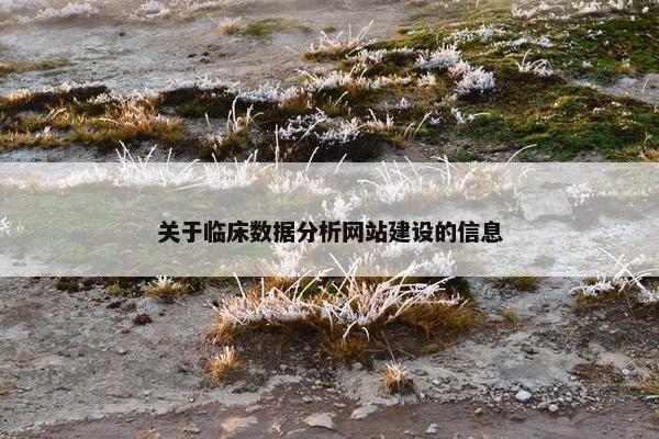 关于临床数据分析网站建设的信息