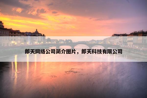 郎天网络公司简介图片，郎天科技有限公司