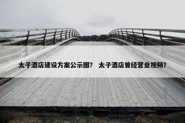 太子酒店建设方案公示图？ 太子酒店曾经营业视频？