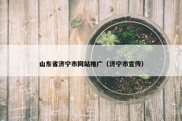 山东省济宁市网站推广（济宁市宣传）