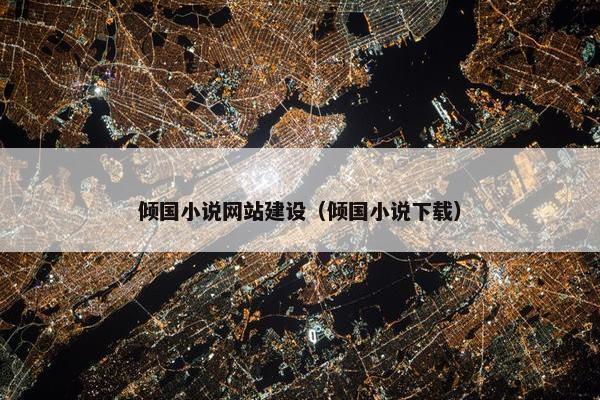 倾国小说网站建设（倾国小说下载）