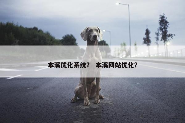 本溪优化系统？ 本溪网站优化？