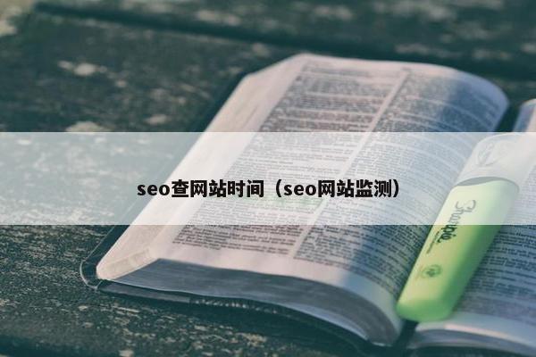 seo查网站时间（seo网站监测）