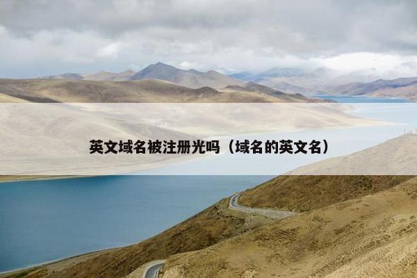 英文域名被注册光吗（域名的英文名）