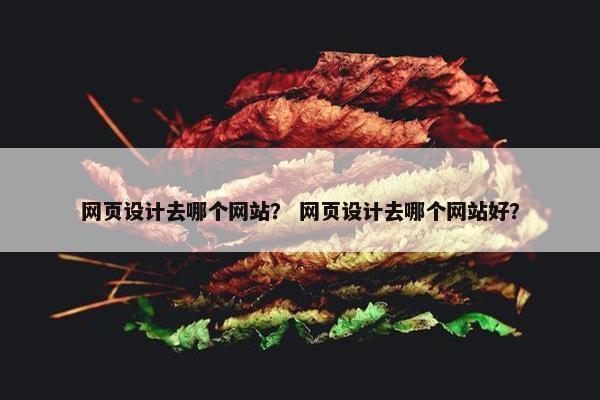 网页设计去哪个网站？ 网页设计去哪个网站好？