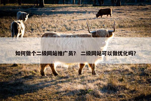 如何做个二级网站推广员？ 二级网站可以做优化吗？