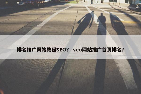 排名推广网站教程SEO？ seo网站推广首页排名？