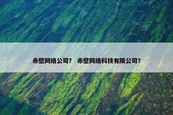 赤壁网络公司？ 赤壁网络科技有限公司？