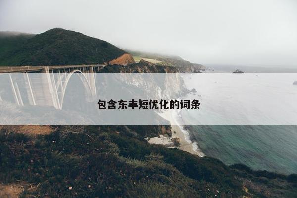 包含东丰短优化的词条