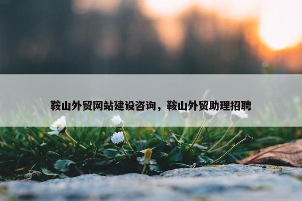 鞍山外贸网站建设咨询，鞍山外贸助理招聘
