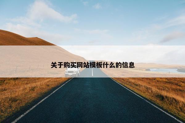 关于购买网站模板什么的信息