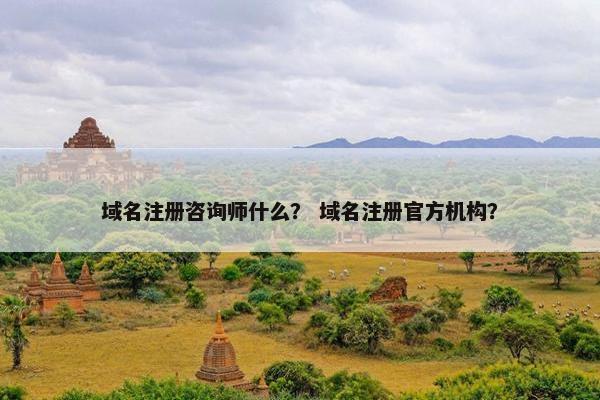 域名注册咨询师什么？ 域名注册官方机构？