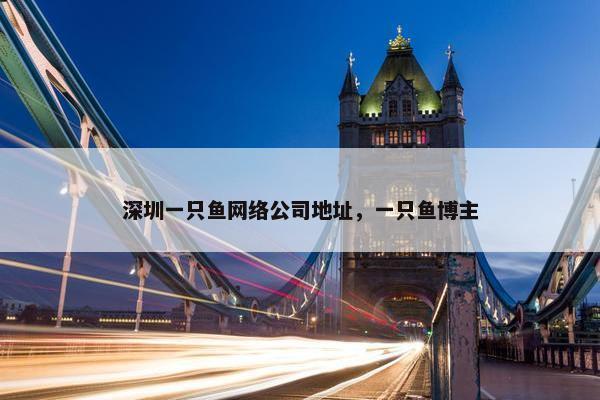 深圳一只鱼网络公司地址，一只鱼博主