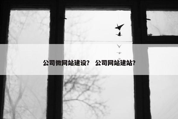 公司微网站建设？ 公司网站建站？