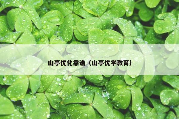 山亭优化靠谱（山亭优学教育）
