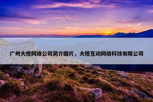 广州大橙网络公司简介图片，大橙互动网络科技有限公司