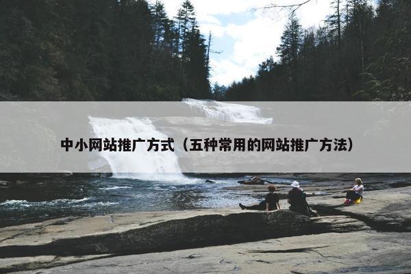 中小网站推广方式（五种常用的网站推广方法）