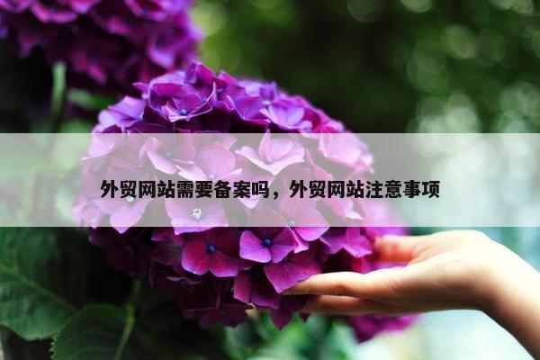 外贸网站需要备案吗，外贸网站注意事项