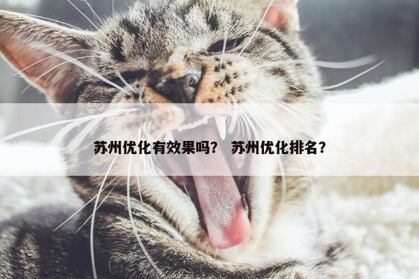 苏州优化有效果吗？ 苏州优化排名？