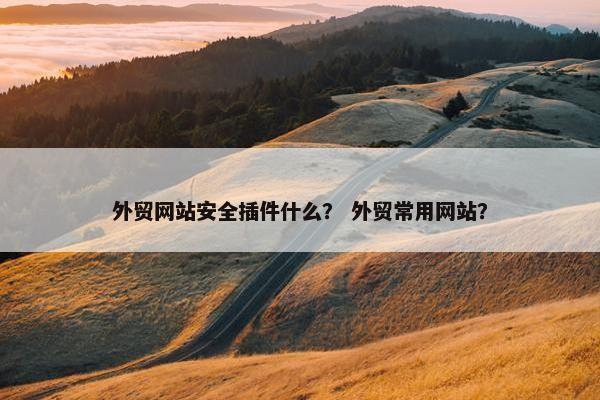 外贸网站安全插件什么？ 外贸常用网站？
