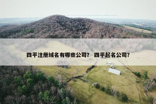四平注册域名有哪些公司？ 四平起名公司？