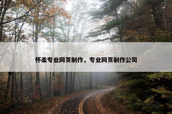 怀柔专业网页制作，专业网页制作公司