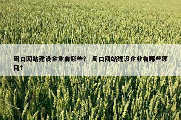 周口网站建设企业有哪些？ 周口网站建设企业有哪些项目？