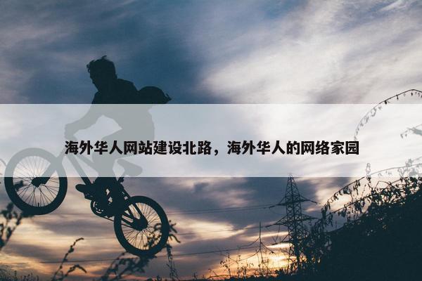 海外华人网站建设北路，海外华人的网络家园