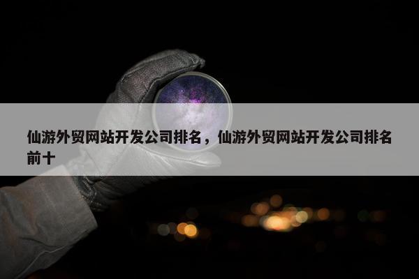 仙游外贸网站开发公司排名，仙游外贸网站开发公司排名前十