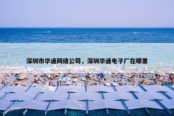 深圳市华通网络公司，深圳华通电子厂在哪里