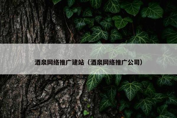 酒泉网络推广建站（酒泉网络推广公司）