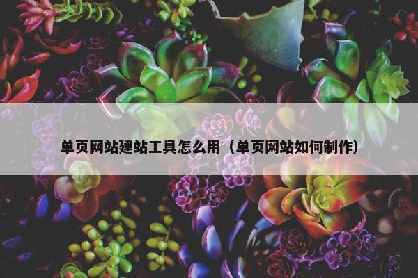单页网站建站工具怎么用（单页网站如何制作）