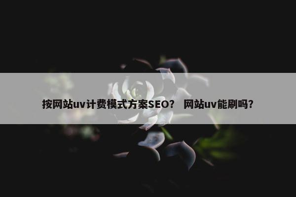 按网站uv计费模式方案SEO？ 网站uv能刷吗？