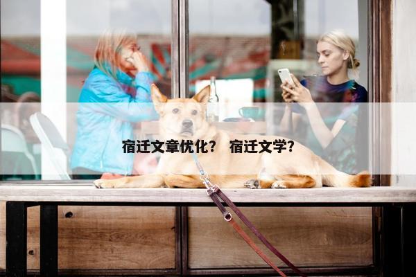 宿迁文章优化？ 宿迁文学？