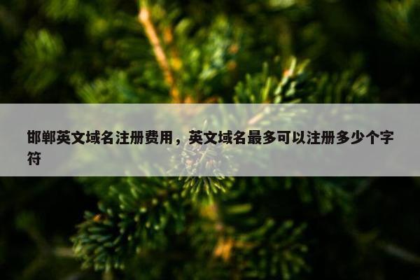 邯郸英文域名注册费用，英文域名最多可以注册多少个字符