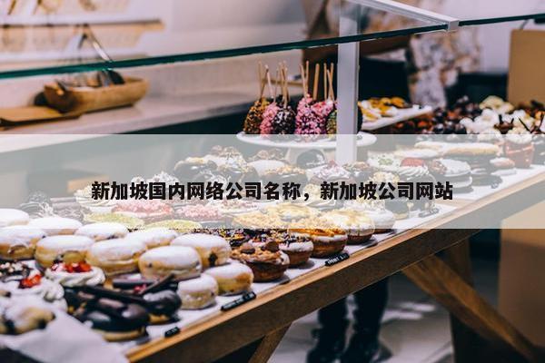 新加坡国内网络公司名称，新加坡公司网站