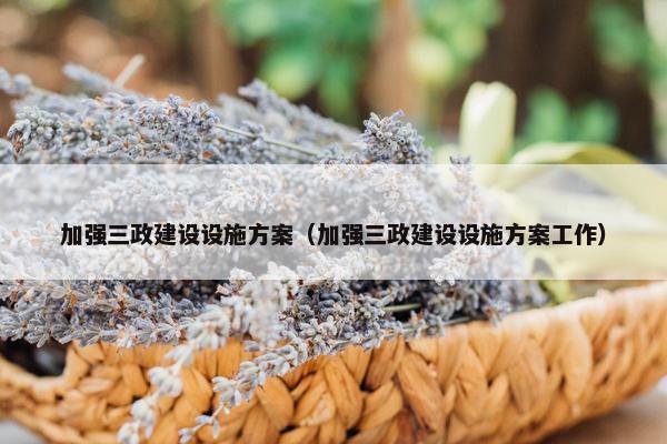 加强三政建设设施方案（加强三政建设设施方案工作）
