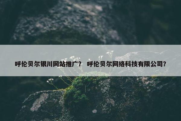 呼伦贝尔银川网站推广？ 呼伦贝尔网络科技有限公司？