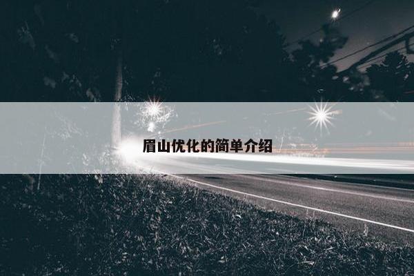 眉山优化的简单介绍