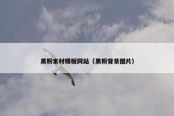 黑粉素材模板网站（黑粉背景图片）