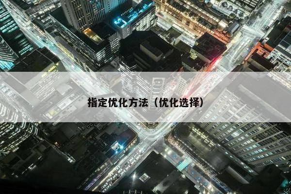 指定优化方法（优化选择）