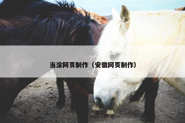 当涂网页制作（安徽网页制作）