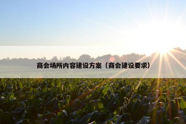 商会场所内容建设方案（商会建设要求）